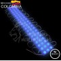 MODULO O CAPSULA 3 LED AZUL 12V