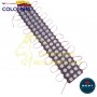 MODULO O CAPSULA 3 LED MORADO 12V