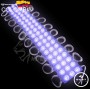 MODULO O CAPSULA 3 LED AZUL 24V