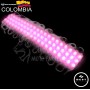 MODULO O CAPSULA 3 LED FUCSIA 24V