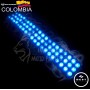 MODULO O CAPSULA 3 LED AZUL HIELO 12V