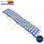 MODULO O CAPSULA 3 LED AZUL HIELO 24V