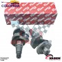 CIGÜENAL FREIGHTLINER CORTA M2 106 VADEN