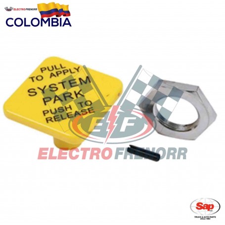 BOTON AMARILLO DIAMANTE PP1 SAP