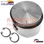 PISTON 75MM EN STD VADEN