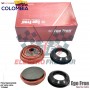 ZAPATAS MORDAZA KNORR SN7 B4 10365 EGE FREN