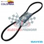 CORREA V FORD M361 M477 DAYCO