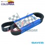 CORREA KENW T800 98 -SCANIA 6BT 83 95-Â DAYCO Correas