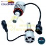 BOMBILLO 9006 LED X2 COLOR BLANCO 12-24V BEST