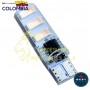 BOMBILLO LED COCUYO CON FLASH COLOR FUCSIA 12V BEST