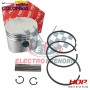 PISTON Y ANILLOS EN 80  MM EN STD  HDP