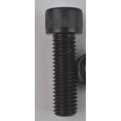 TORNILLO  BRISTOL CON CABEZA- 5-8 X2  BEST