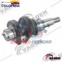 CIGUEÑAL COMPRESOR FORD CARGO 815 (K036161) VADEN