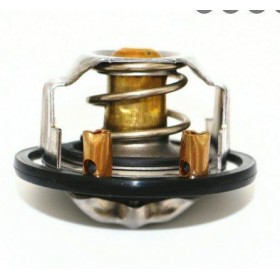 TERMOSTATO85C  ISUZU