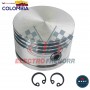 PISTON COMPRESOR MONOPISTON MIDLAND 010 BEST