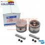 JUEGO DE PISTONES TUFLO 750 EN 010 BENDIX
