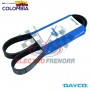 CORREA BA CHEV BRIGADIER FORD F9000 K-W CUMM NTC290 6PK1105 436K6 5060436 USARG DAYCO
