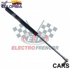 AMORTIGUADOR 300 NW CARS