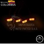 LUCES DE PERSIANA FLASH CON CONTROL COLOR AMARILLO 12-24V