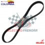 CORREA VENTILADOR REFRIGERACIÓN  ISUZU
