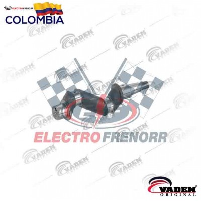 CIGUENAL SCANIA VADEN