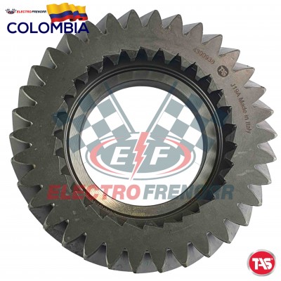 PIÑON CENT 918 TAS