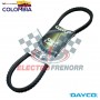 CORREA AA RENA-18 RENA-21 GTX DAYCO