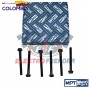 TORNILLOS CULATA MERCEDES -MPT