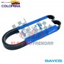 CORREA KW T2000 T600 T800 W900 97-98  - FREIGHTLINER CENTURY DAYCO