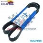 CORREA V CHEVROLET SUPER BRIGADIER L10 240  480K8  ARG DAYCO