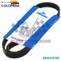 CORREA MA CAT 3176 KW USARG- DAYCO DAYCO
