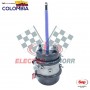 CAMARA T20 PISADA 24 SAP