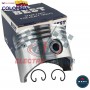 PISTON COMPRESOR CUMMINS 3 5-8  EN 0.10 BEST