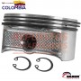 PISTON 100MM EN 50 VADEN