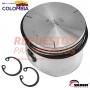 PISTON 75MM EN STD VADEN