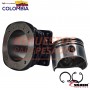 BLOQUE PISTON Y ANILLOS NPR AGUA O AGRALE REGULADO IGUAL A VADEN