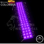 MODULO O CAPSULA 3 LED MORADO 24V